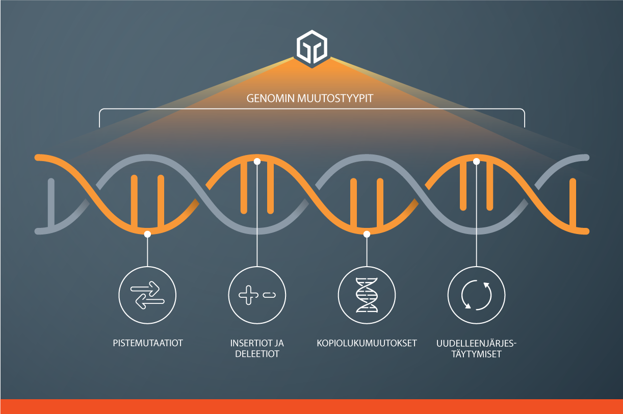 All our services use our leading comprehensive genomic profiling approach to identify clinically relevant alterations and potentially expand treatment options